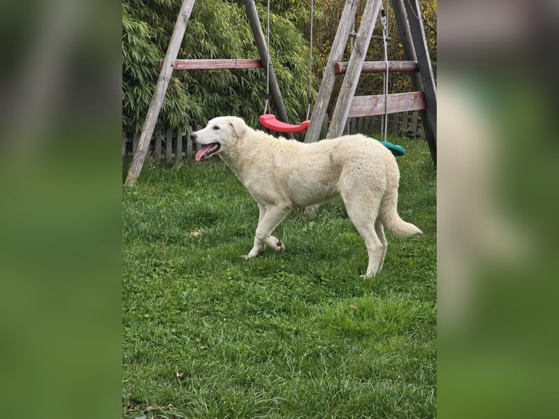 Kate: sucht Familienanschluss