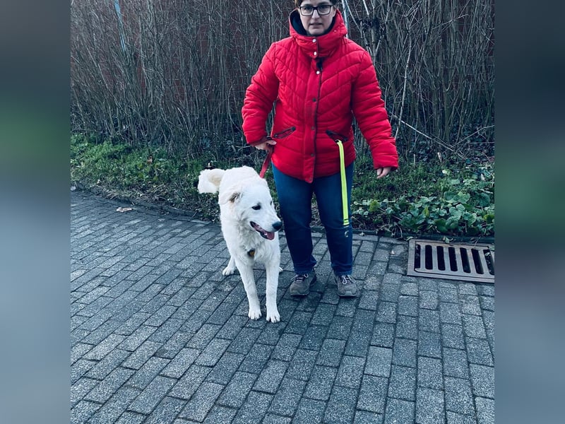 Cappuccino: sein Traum von einer eigenen Familie