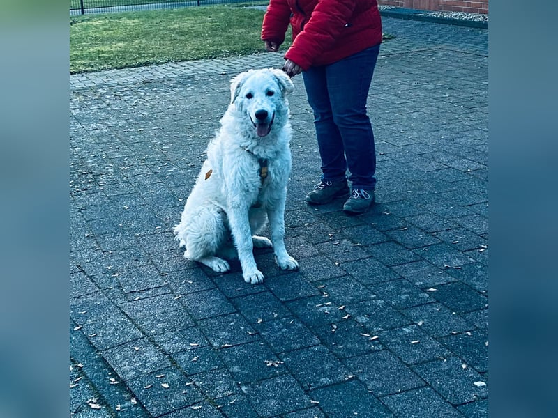 Cappuccino: sein Traum von einer eigenen Familie