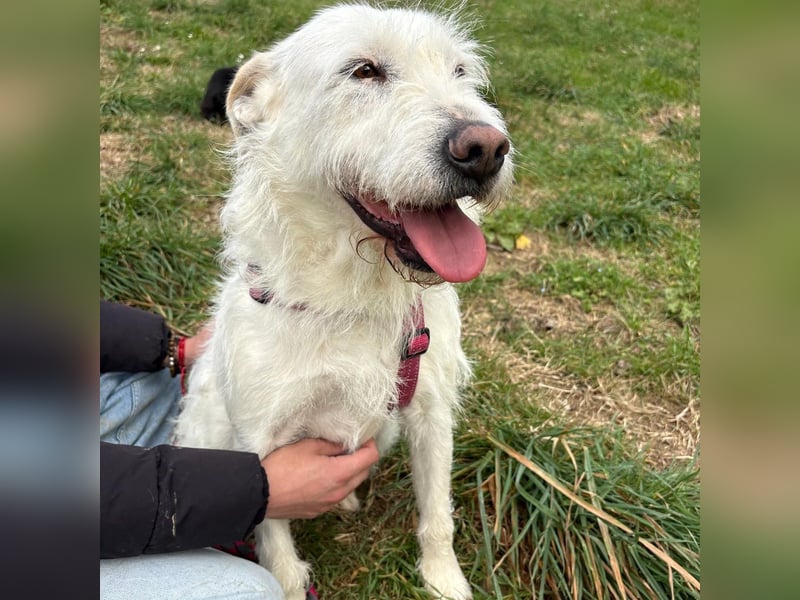 Bianca - liebevoll, zugewandt und bereit für ihr neues Leben