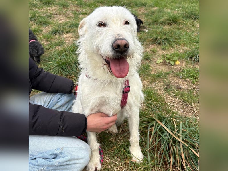 Bianca - liebevoll, zugewandt und bereit für ihr neues Leben