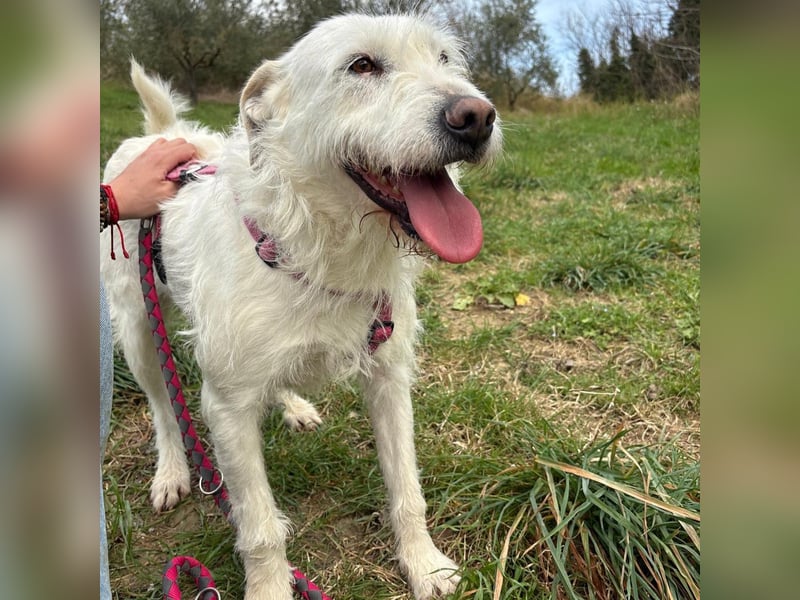 Bianca - liebevoll, zugewandt und bereit für ihr neues Leben