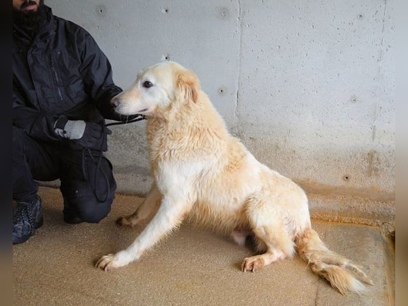 Frieder - Gibt es ein Leben jenseits von Schmerz und Einsamkeit?