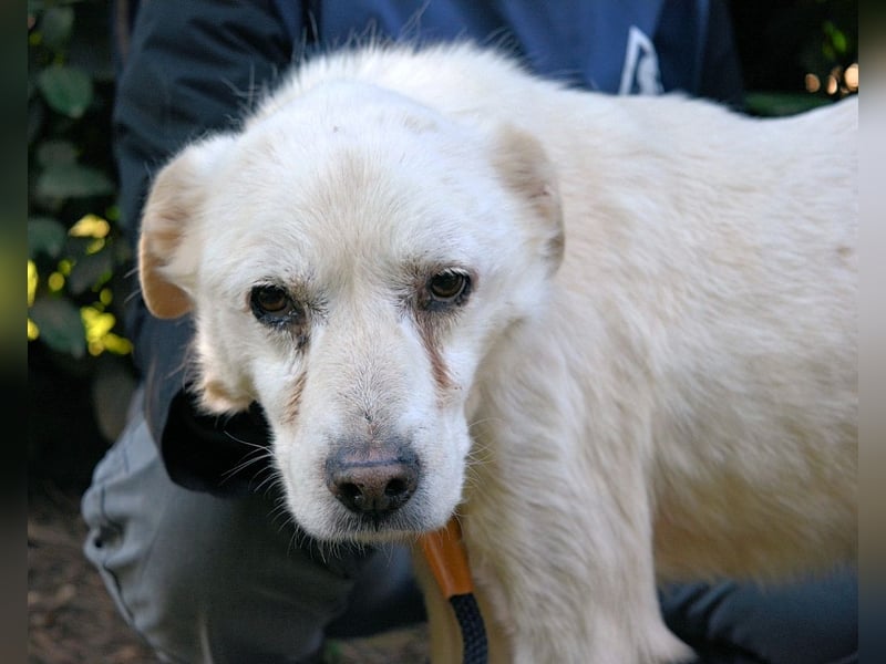 Talete - NOTFALL - Wenn man ehrlich ist