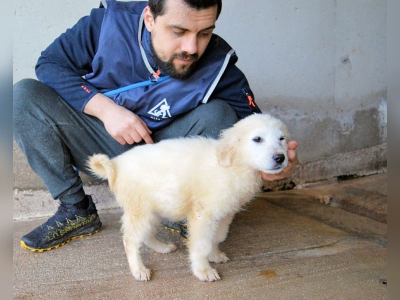 Cilwen - SOS - Weiß jemand, was aufpassen eigentlich heißt ?