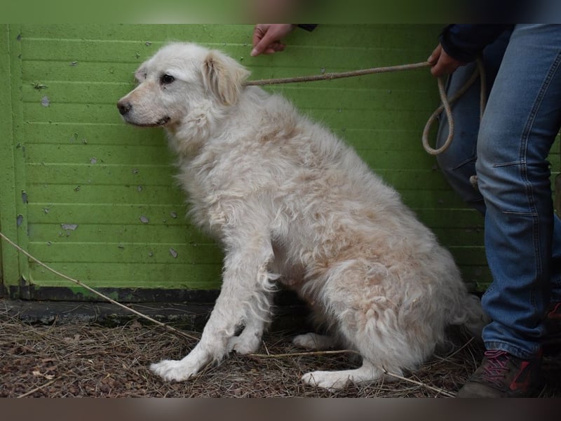 Graciela - NOTFALL - Was hatte sie schon...