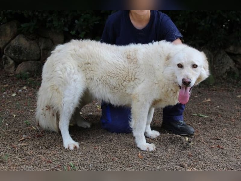 Fyona - Hell wie das Licht