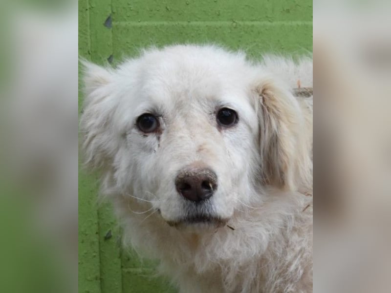 Graciela - NOTFALL - Was hatte sie schon...