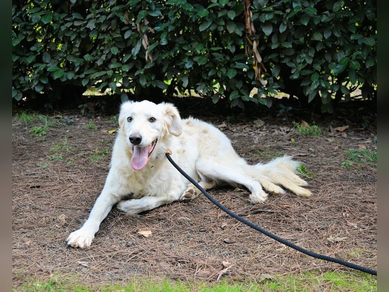 Hadeus - Wovon träumst du?