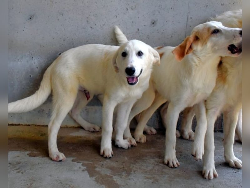 Barry - Vertrauen will gelernt sein.....