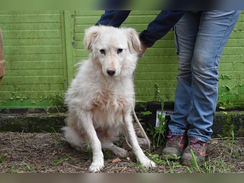 Graciela - NOTFALL - Was hatte sie schon...