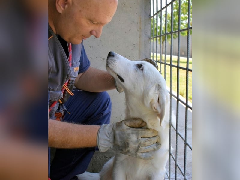 Barry - Vertrauen will gelernt sein.....