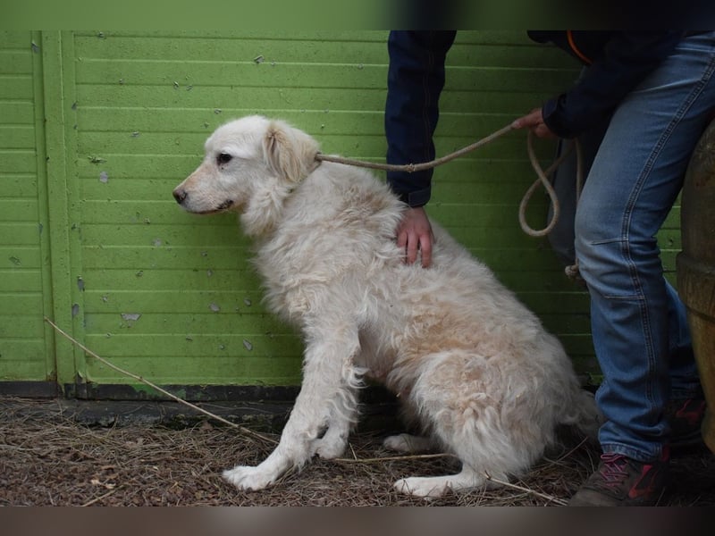 Graciela - NOTFALL - Was hatte sie schon...