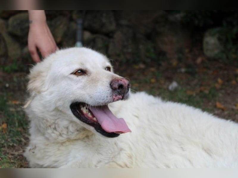 Fyona - Hell wie das Licht