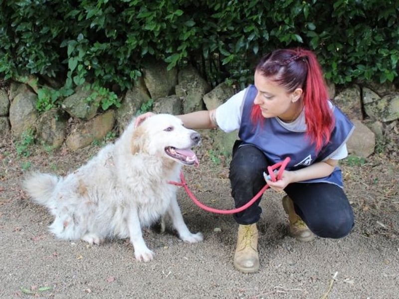 Papak - Nutze den Tag!