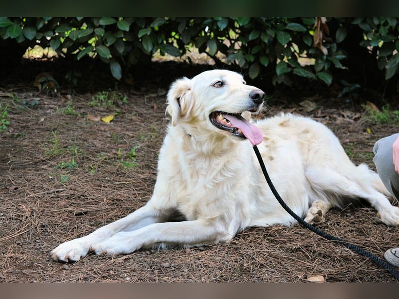 Hadeus - Wovon träumst du?