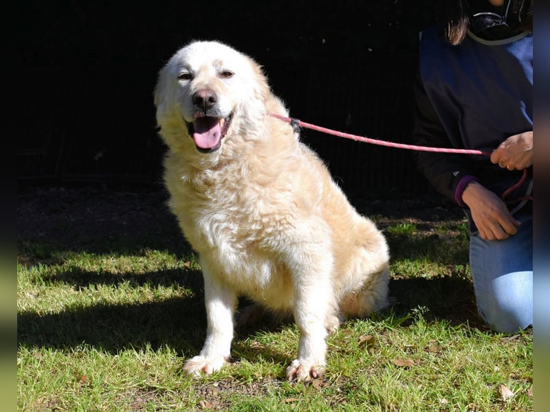 Fyona - Hell wie das Licht