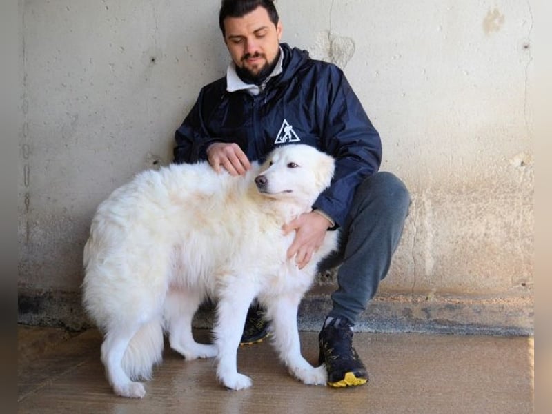 Wania - Zur falschen Zeit am falschen Ort...
