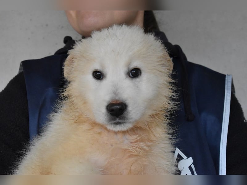 Cairox - SOS - Weiß jemand, was aufpassen eigentlich heißt?