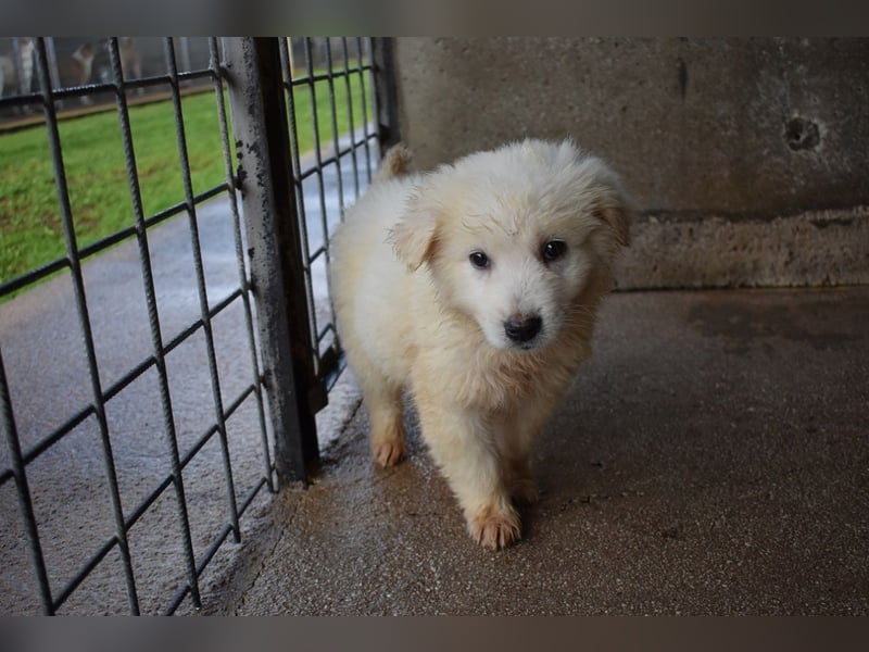 Calira - SOS - Weiß jemand, was aufpassen eigentlich heißt?
