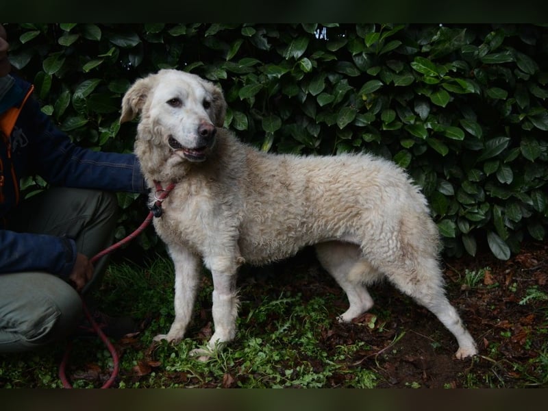 Generosa - Ein Adler bleibt ein Adler...