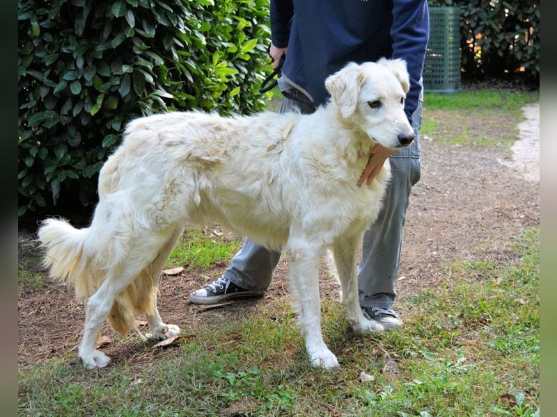 Hadeus - Wovon träumst du?