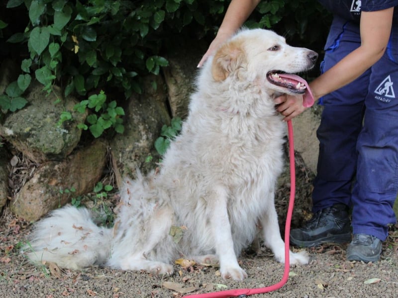 Papak - Nutze den Tag!