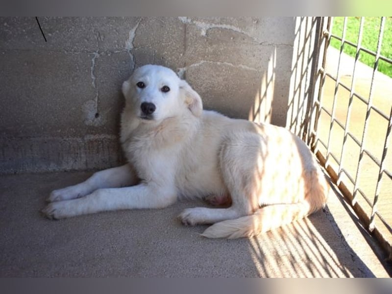 Ryther - Für diese traurige Geschicht...