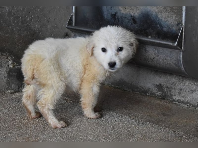 Cilwen - Weiß jemand, was aufpassen eigentlich heißt ?