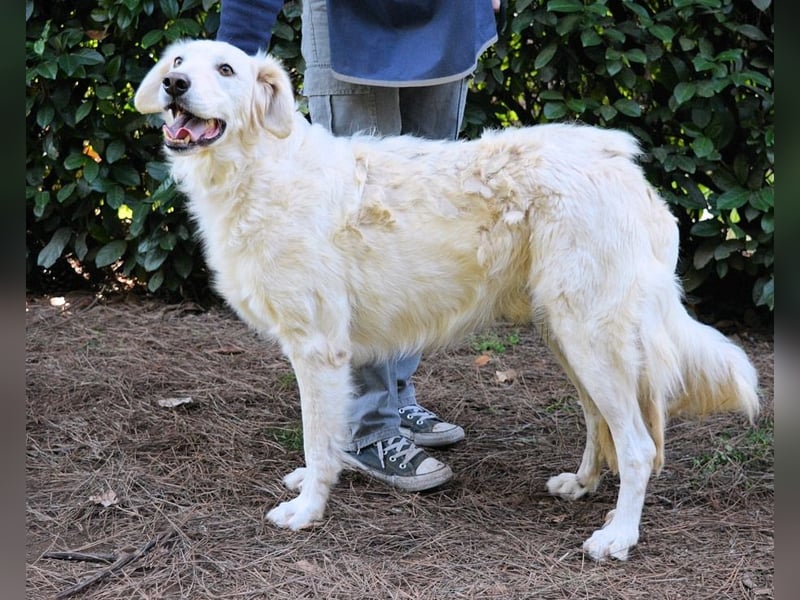 Hadeus - Wovon träumst du?