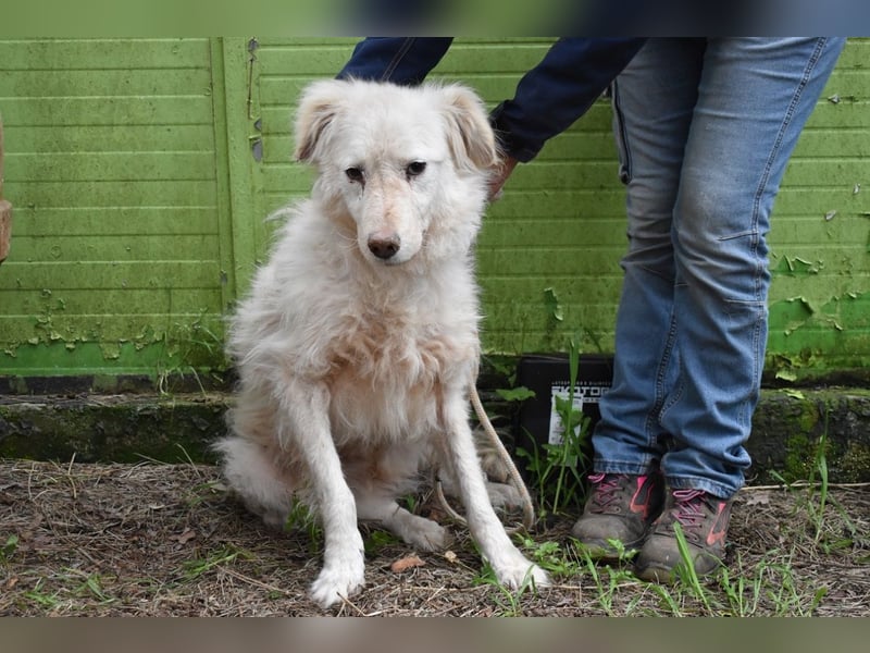 Graciela - NOTFALL - Was hatte sie schon...