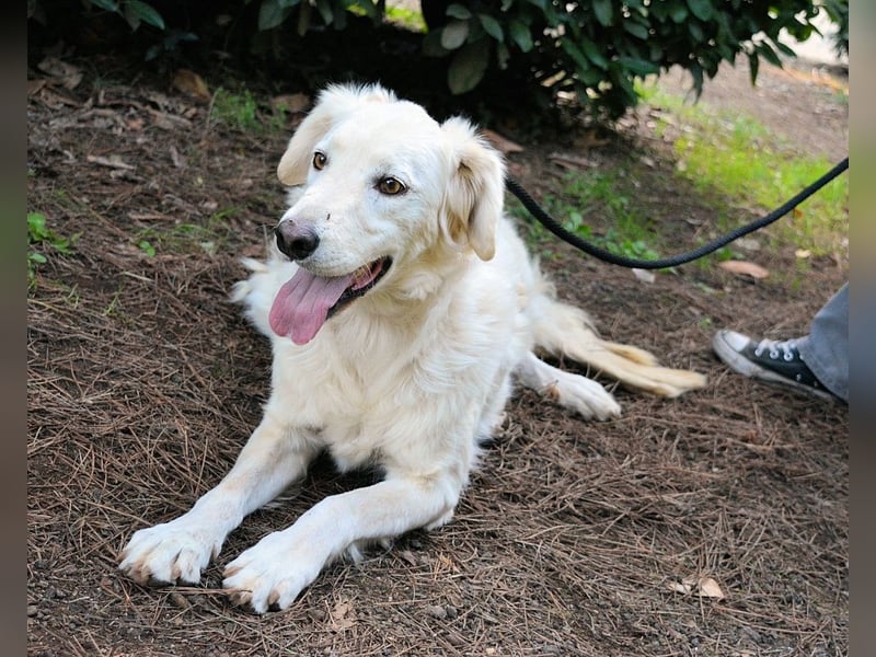 Hadeus - Wovon träumst du?