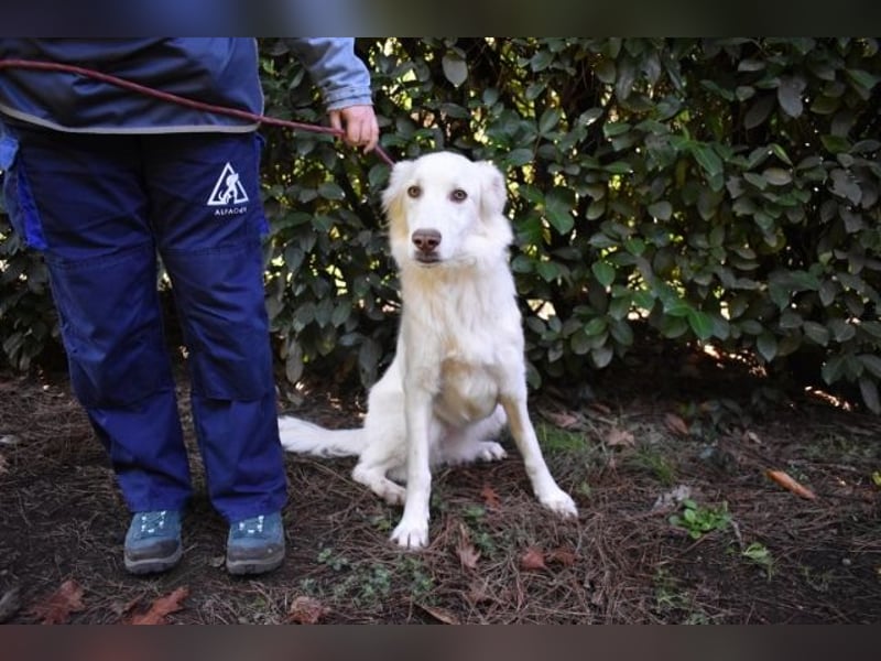 Thulin - Eigentlich ist ja alles da...