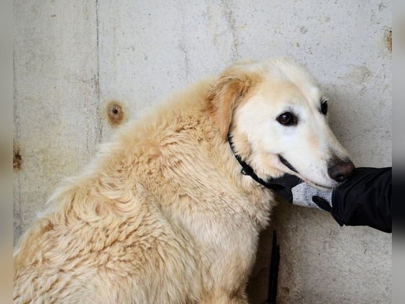 Frieder - Gibt es ein Leben jenseits von Schmerz und Einsamkeit?