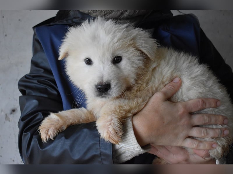 Clyro - SOS - Weiß jemand, was aufpassen eigentlich heißt ?