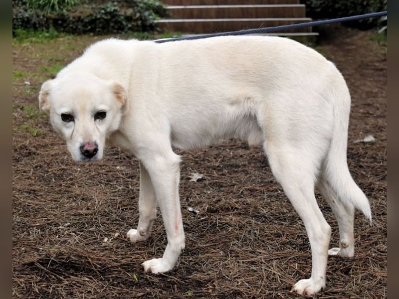 Talete - das Stehaufmännchen