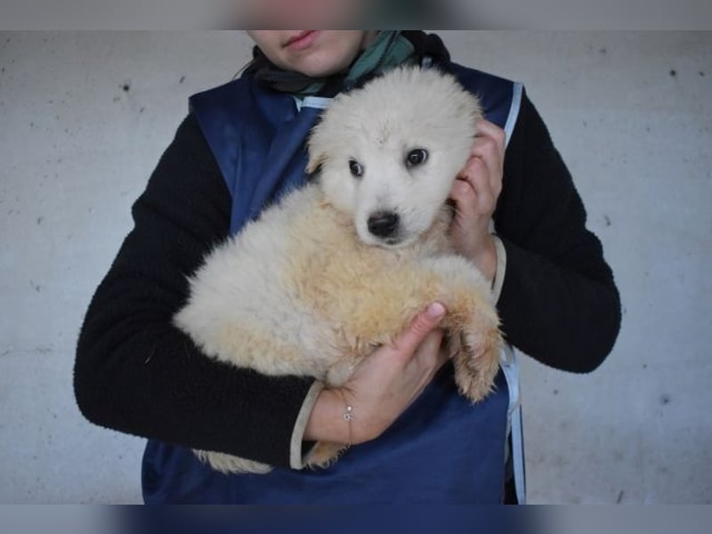 Calira - Weiß jemand, was aufpassen eigentlich heißt?