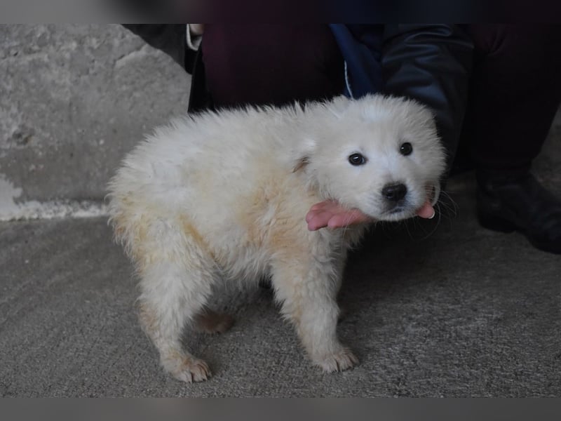 Clyro - SOS - Weiß jemand, was aufpassen eigentlich heißt ?