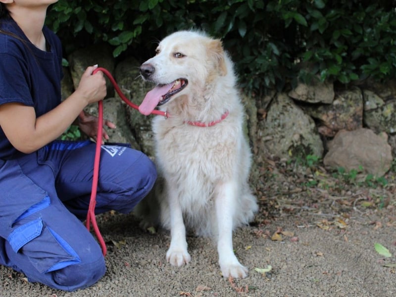 Papak - Nutze den Tag!
