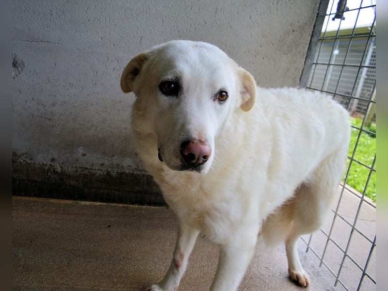 Vitale - "Komm, trau dich! Du kannst das!"