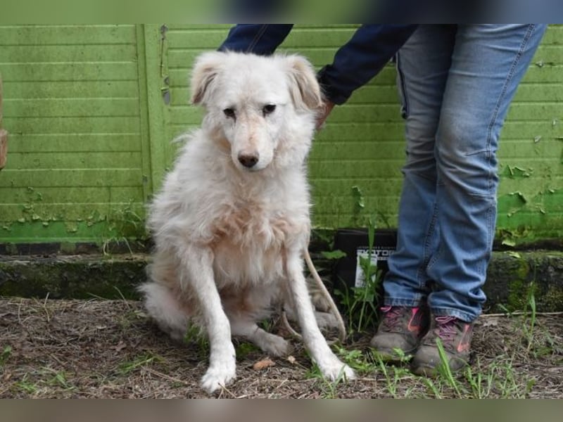 Graciela - NOTFALL- Was hatte sie schon...