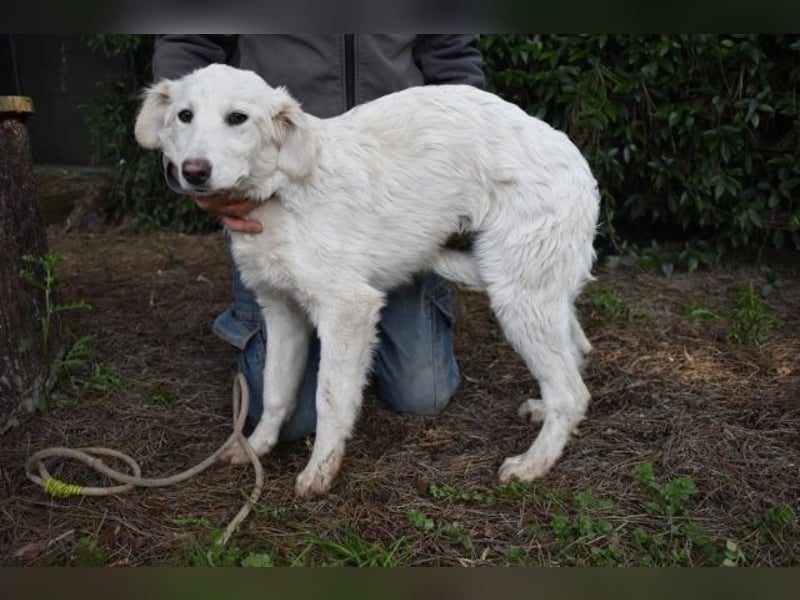 Solitelle - So jung und so chancenlos ...