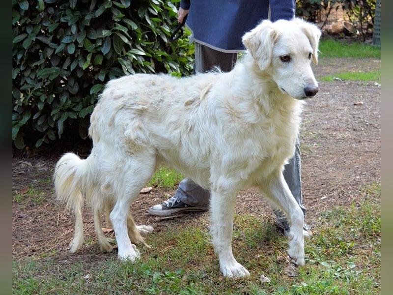 Hadeus - Wovon träumst du?