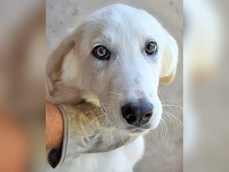 Barry - Vertrauen will gelernt sein.....