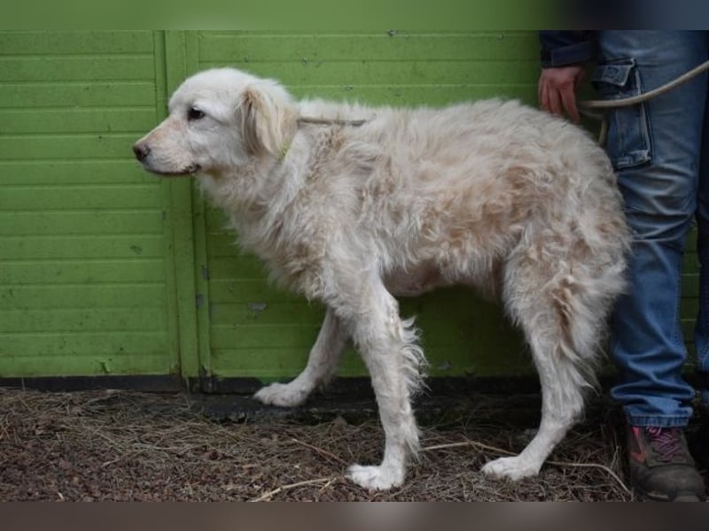 Graciela - NOTFALL- Was hatte sie schon...