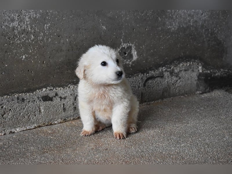 Cilwen - SOS - Weiß jemand, was aufpassen eigentlich heißt ?