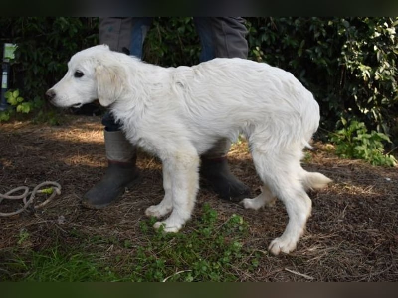 Syrio - So jung und so chancenlos ..