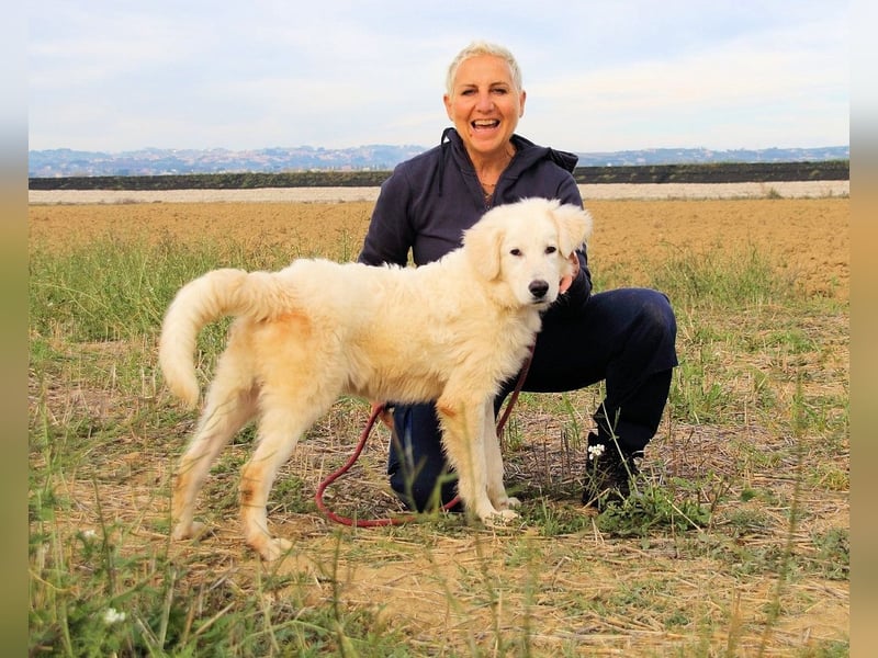 Garth - Kannst du machen, dass es nicht so lange dauert?