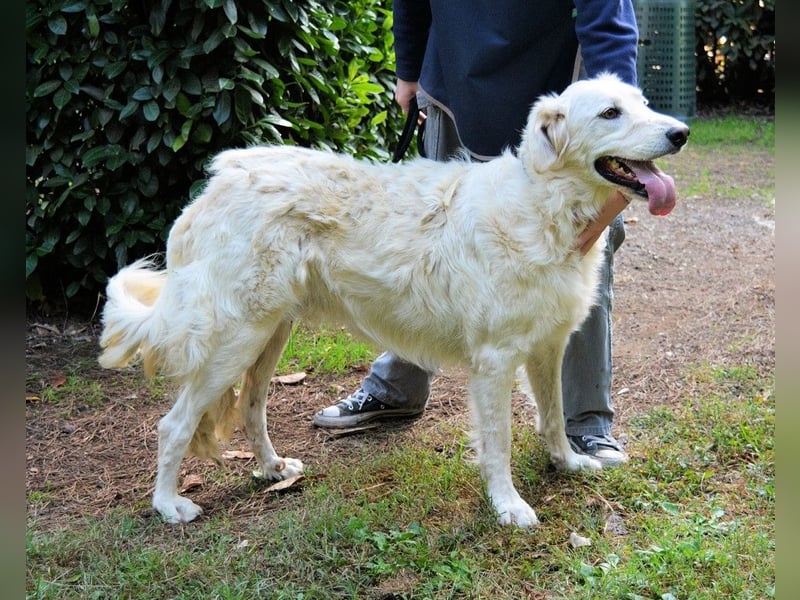 Hadeus - Wovon träumst du?