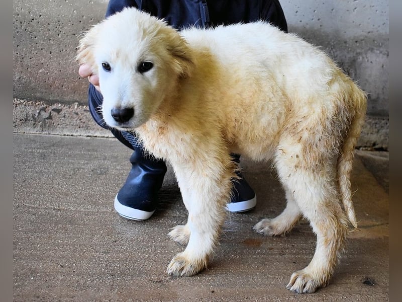 Clyro - SOS - Weiß jemand, was aufpassen eigentlich heißt ?